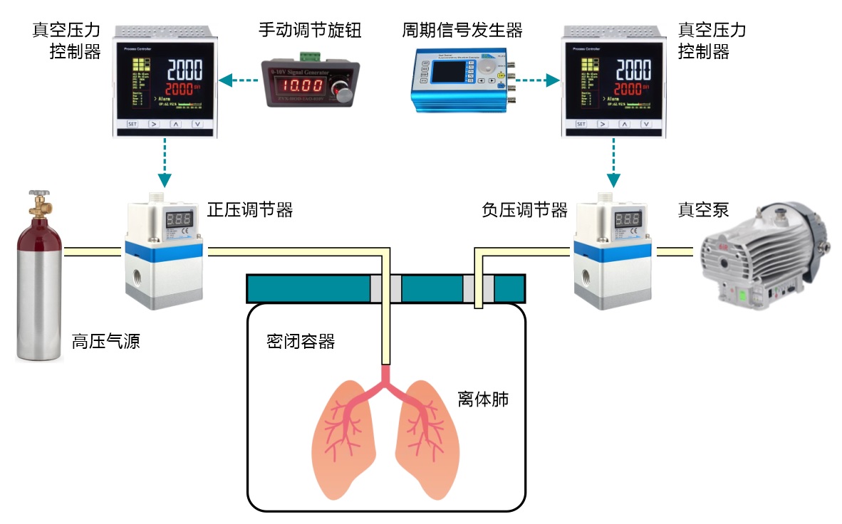 正負(fù)壓自動(dòng)控制技術(shù)在離體肺通氣系統(tǒng)中的應(yīng)用